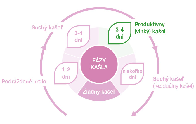 Fázy kašľa a účinné zložky sirupu Bronchostop®